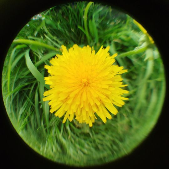 fotokreativ